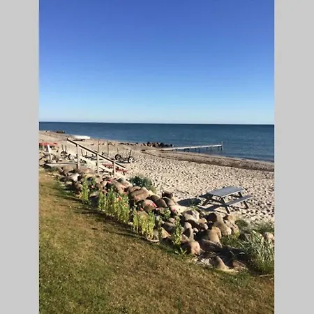 Close To Hasmark 150m * Otterup