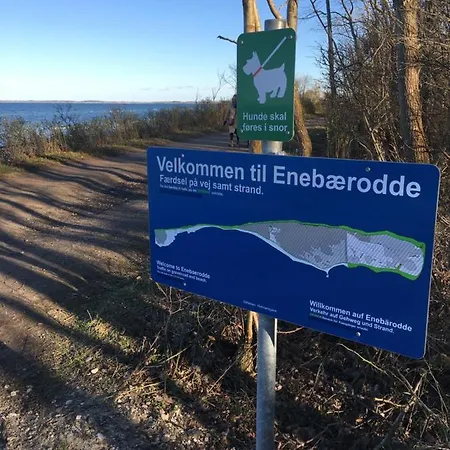 Close To Hasmark 150m *